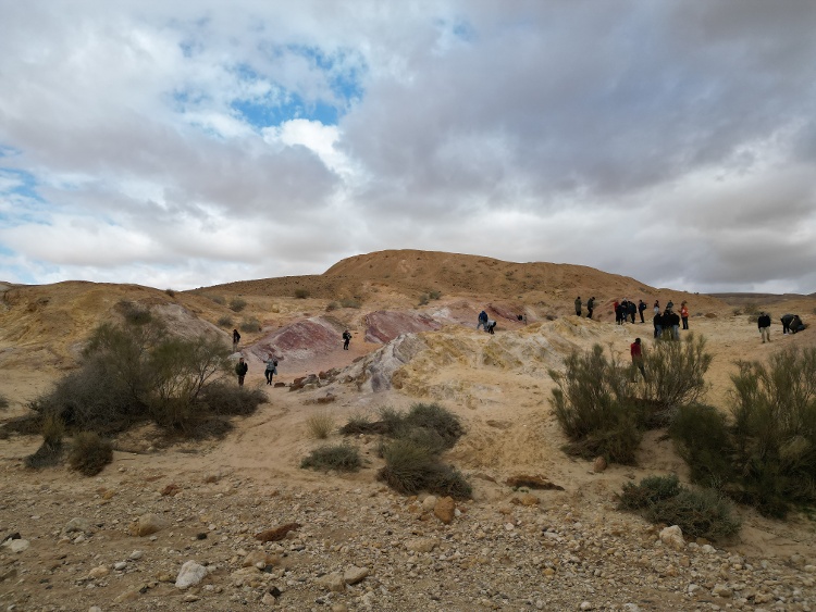 Colored Sand - Tour 3 - Negev I 20231224 - 1024-1